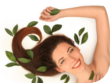 Tee Haarpflege